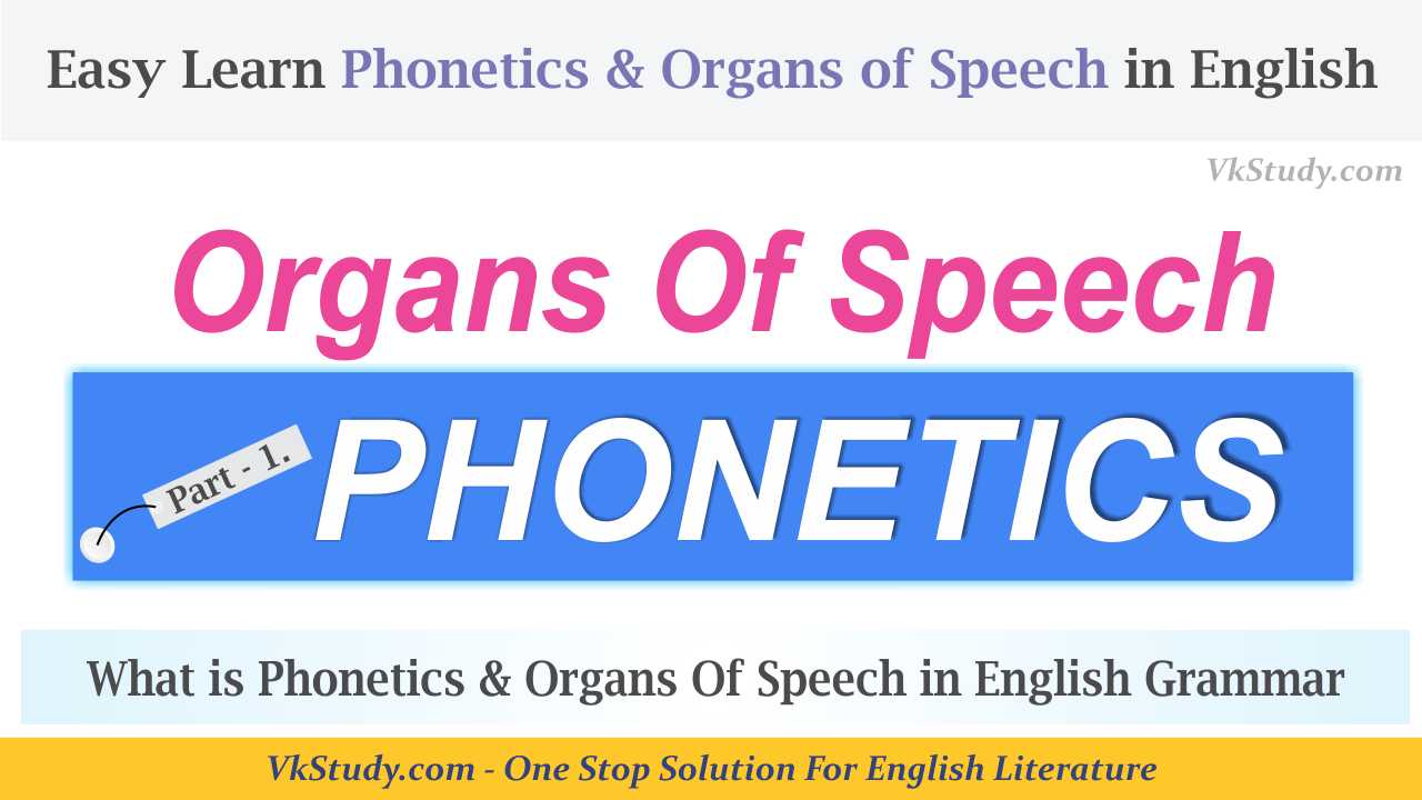 What is Phonetics & Organs Of Speech in English Grammar